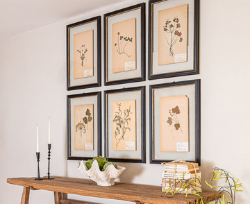 How To Embrace Art Within Your Home