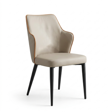 Set of 2 Elegance Armchairs – Handcrafted Premium Leather & Wrought Iron Design